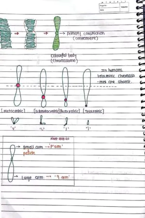 Cell- The Unit of Life - Handwritten Notes_1