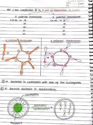 Cell- The Unit of Life - Handwritten Notes_1