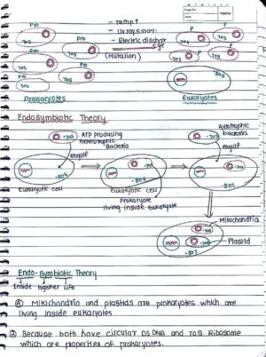 Cell- The Unit of Life - Handwritten Notes_1