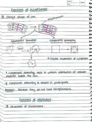 Cell- The Unit of Life - Handwritten Notes_1