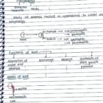 MORPHOLOGY OF FLOWERING PLANTS CLASS 11TH NEET BIOLOGY HAND WRITTEN NOTES