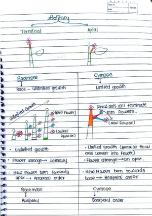 MORPHOLOGY OF FLOWERING PLANTS CLASS 11TH NEET BIOLOGY HAND WRITTEN NOTES