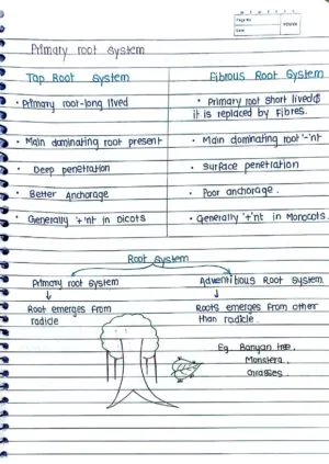 MORPHOLOGY OF FLOWERING PLANTS CLASS 11TH NEET BIOLOGY HAND WRITTEN NOTES