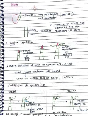 MORPHOLOGY OF FLOWERING PLANTS CLASS 11TH NEET BIOLOGY HAND WRITTEN NOTES