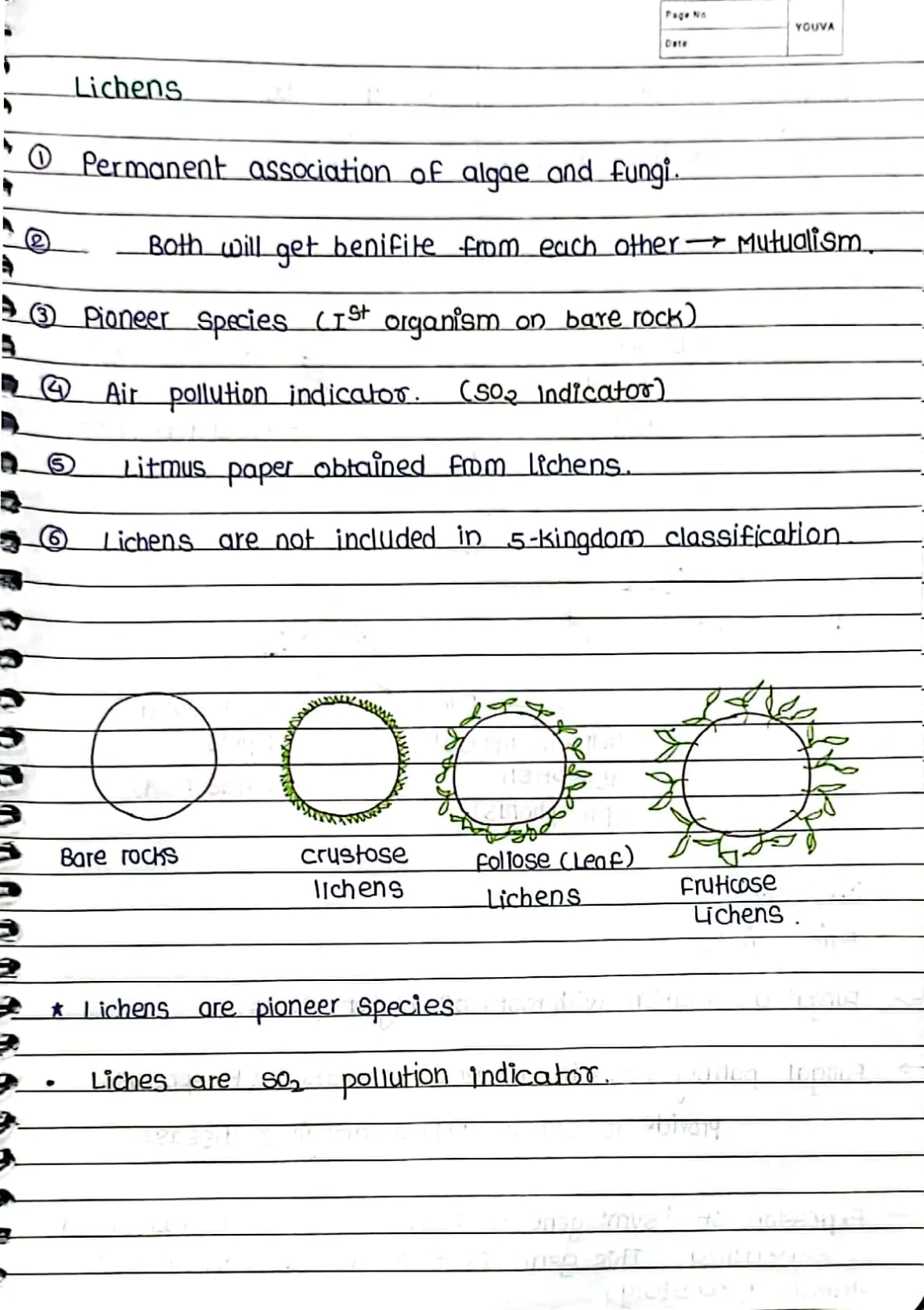 Plant_kingdom_Handwritten_Notes