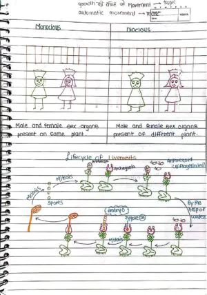 Plant_kingdom_Handwritten_Notes
