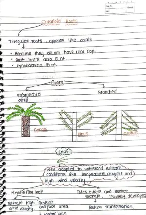 Plant_kingdom_Handwritten_Notes