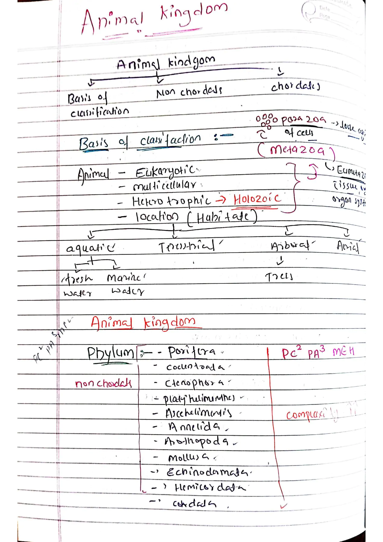 Animal kingdom class 11th Biology NEET Hand written Detailed notes
