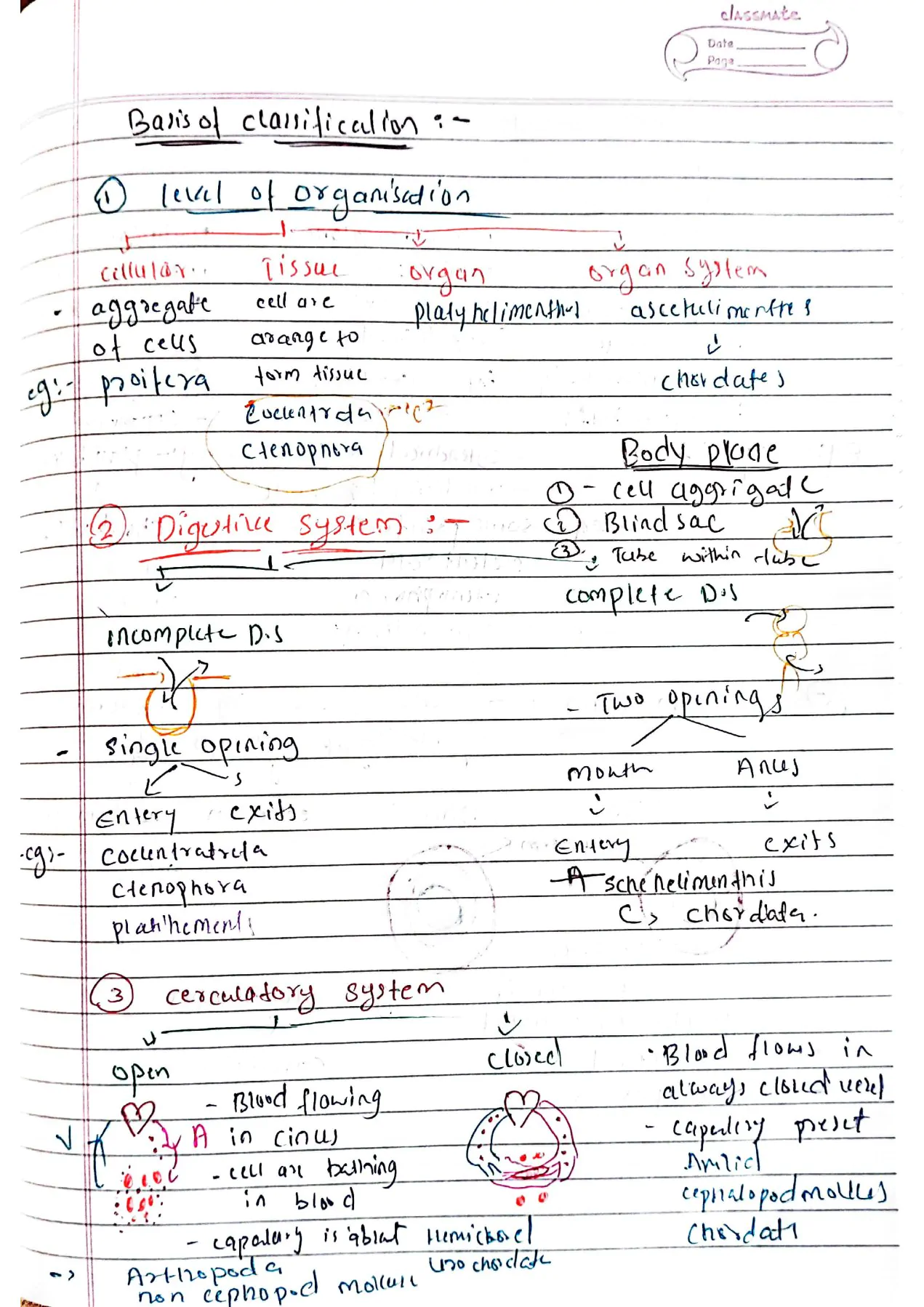 Animal kingdom class 11th Biology NEET Hand written Detailed notes