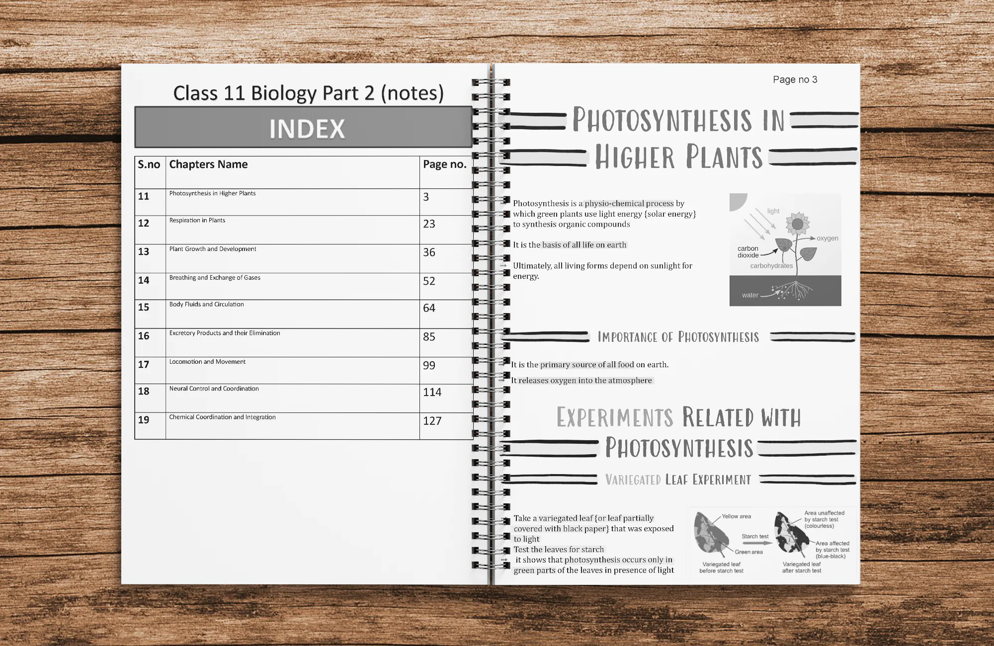 Class 11 Biology Printed Notes - Shobhit Nirwan Part 2 ( With Wiro Binding ) - Image 2