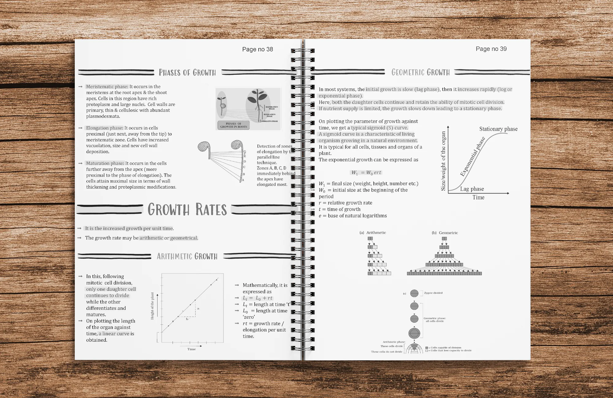 Class 11 Biology Printed Notes - Shobhit Nirwan Part 2 ( With Wiro Binding ) - Image 4