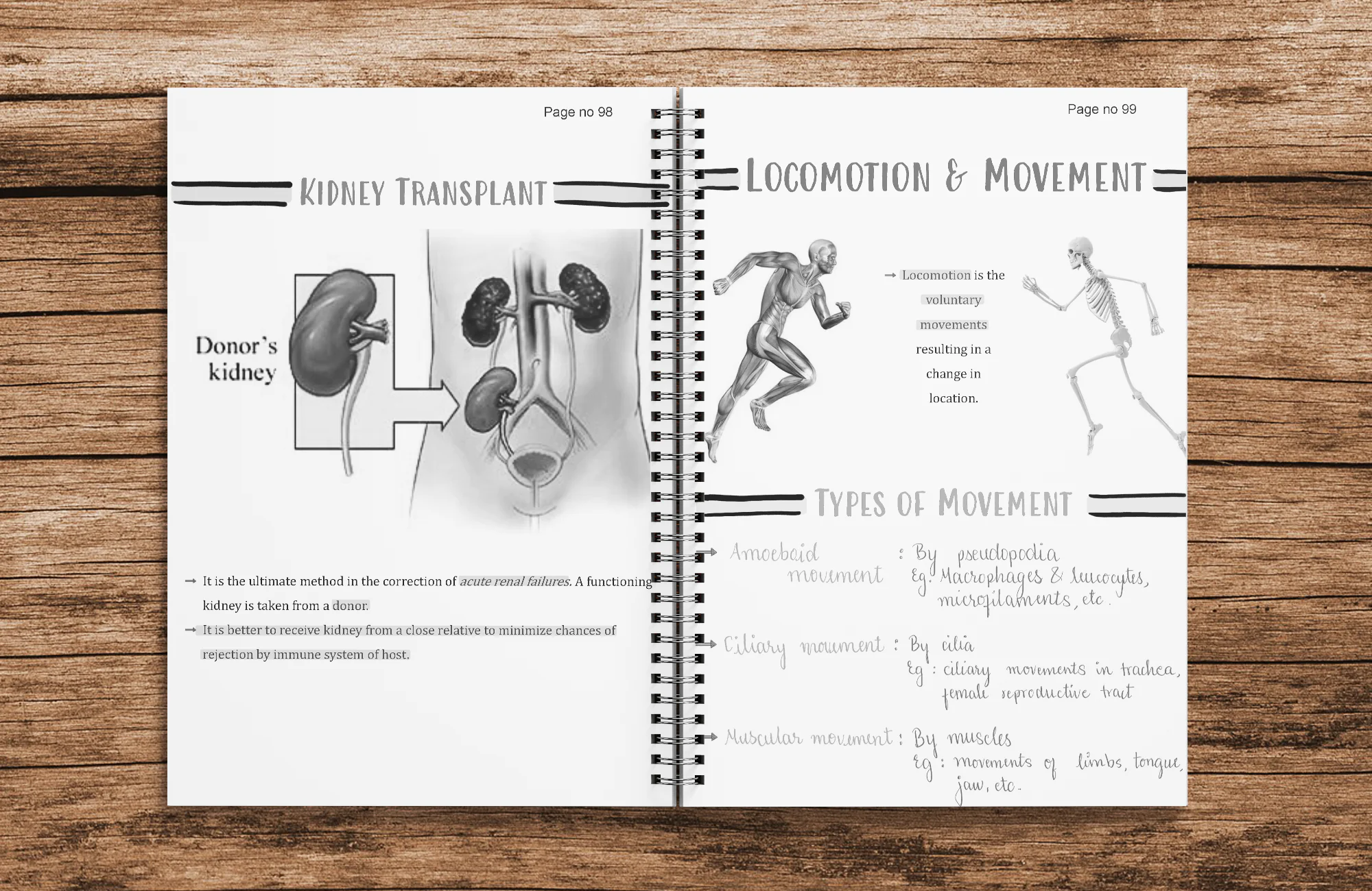 Class 11 Biology Printed Notes - Shobhit Nirwan Part 2 ( With Wiro Binding ) - Image 3