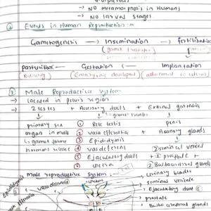 Human reproduction class 12th biology NEET detailed hand written notes