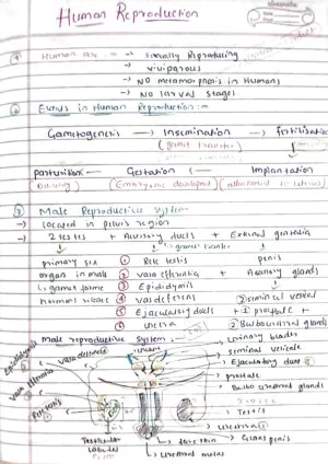 Human reproduction class 12th biology NEET detailed hand written notes
