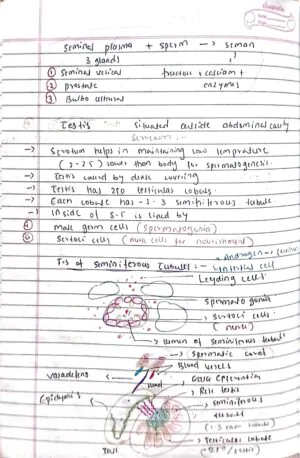 Human reproduction class 12th biology NEET detailed hand written notes