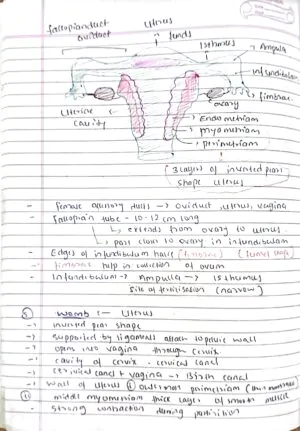 Human reproduction class 12th biology NEET detailed hand written notes
