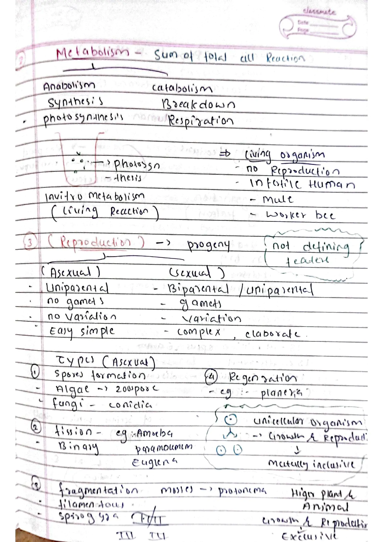 Living world class 11th Biology Neet hand written notes
