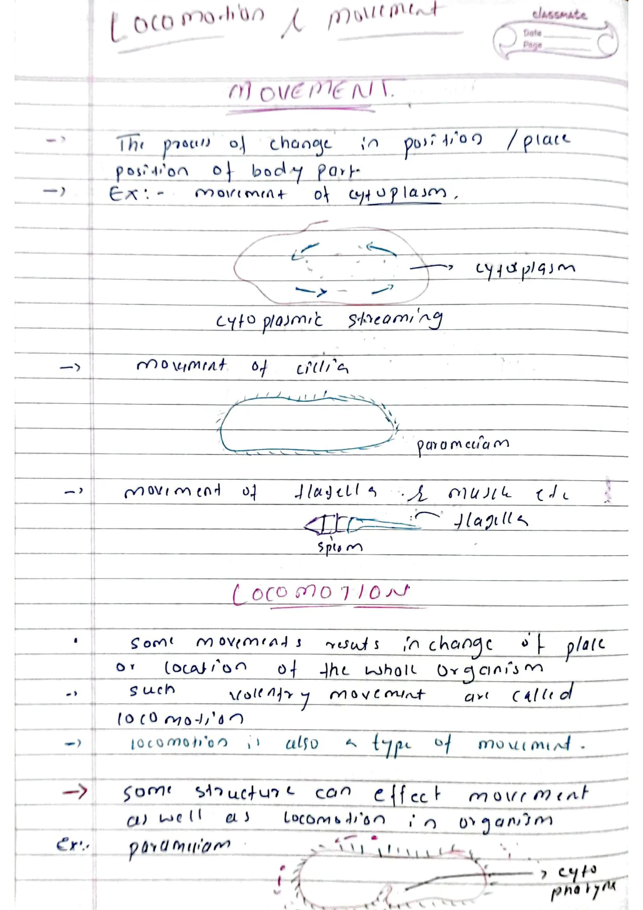 Locomotion and movement class 11th biology Neet detailed hand written notes