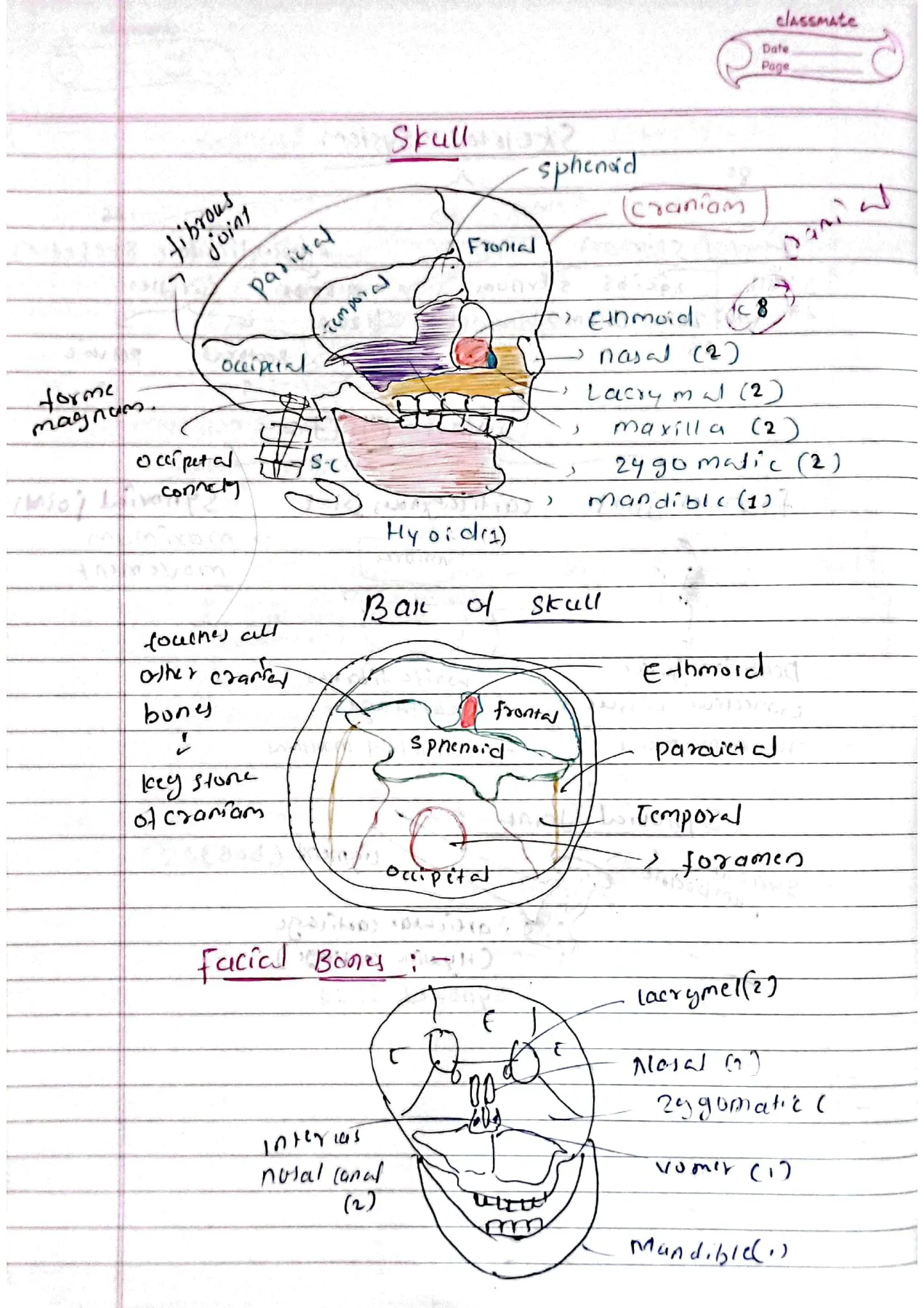 Locomotion and movement class 11th biology Neet detailed hand written notes