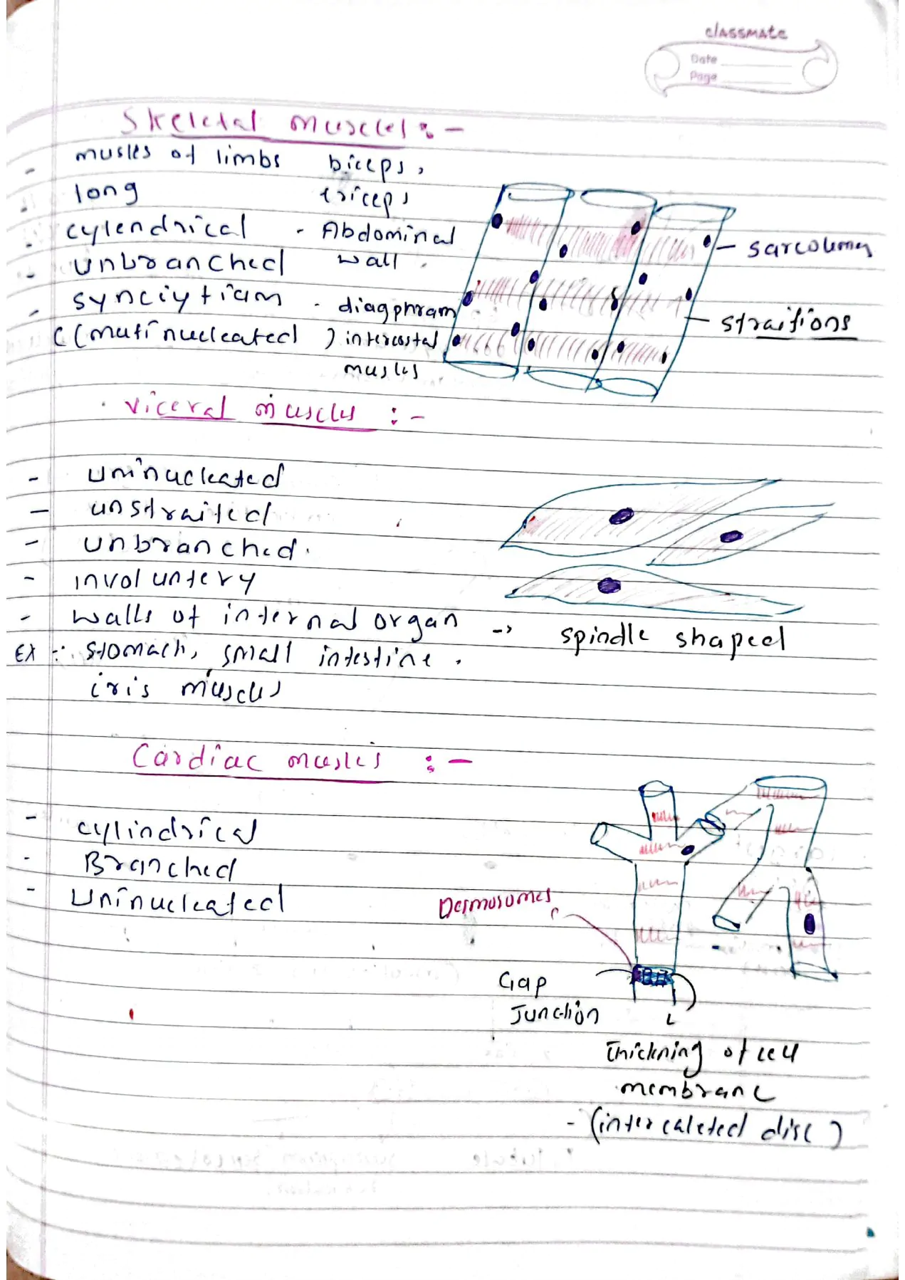 Locomotion and movement class 11th biology Neet detailed hand written notes