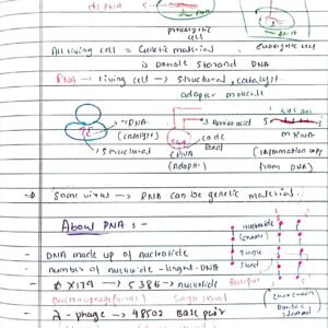 molecular basis of inheritance class 12 biology neet handwriting notes