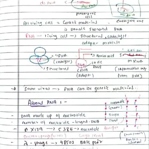 molecular basis of inheritance class 12 biology neet handwriting notes