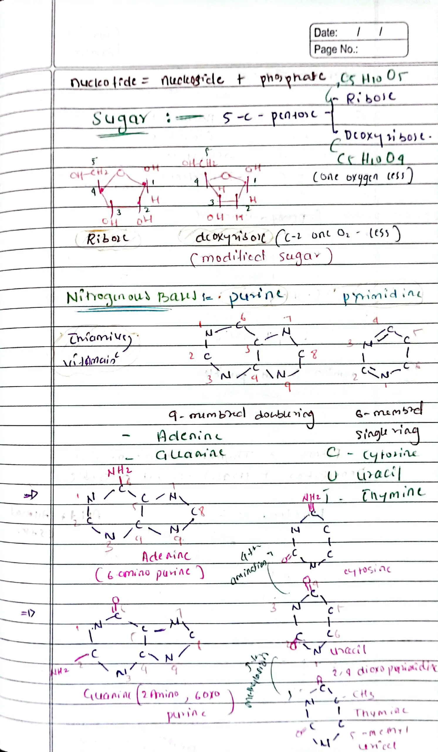 molecular basis of inheritance class 12 biology neet handwriting notes