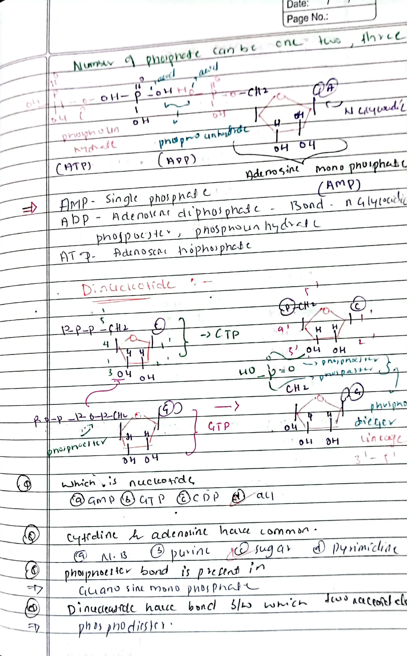 molecular basis of inheritance class 12 biology neet handwriting notes
