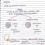 ANATOMY OF FLOWERING PLANTS CLASS 11TH NEET BIOLOGY HAND WRITTEN NOTES