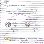 ANATOMY OF FLOWERING PLANTS CLASS 11TH NEET BIOLOGY HAND WRITTEN NOTES