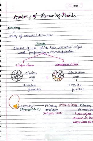 ANATOMY OF FLOWERING PLANTS CLASS 11TH NEET BIOLOGY HAND WRITTEN NOTES