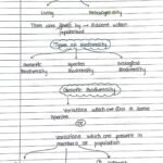 biodiversity and conservation Handwritten Notes PDF