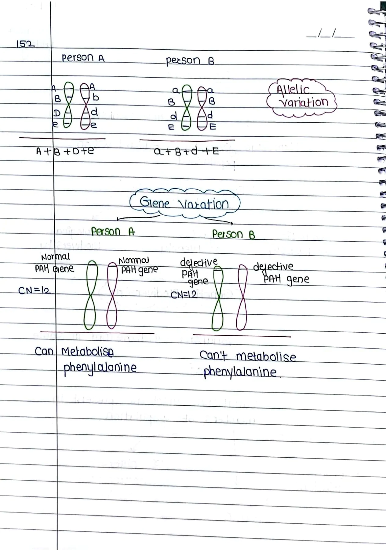 biodiversity and conservation Handwritten Notes PDF