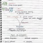 Ecosystem Handwritten Notes class 12 th neet biology