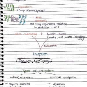 Ecosystem Handwritten Notes class 12 th neet biology