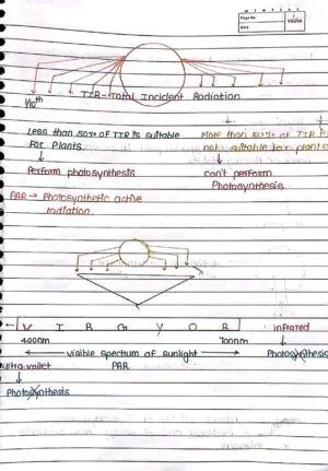 Ecosystem Handwritten Notes class 12 th neet biology