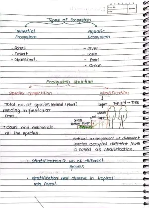 Ecosystem Handwritten Notes class 12 th neet biology