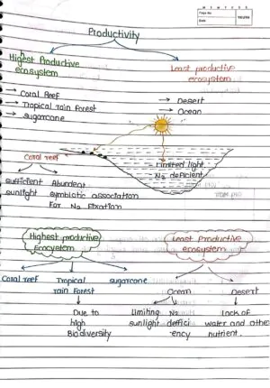 Ecosystem Handwritten Notes class 12 th neet biology