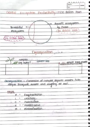 Ecosystem Handwritten Notes class 12 th neet biology