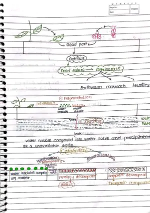 Ecosystem Handwritten Notes class 12 th neet biology