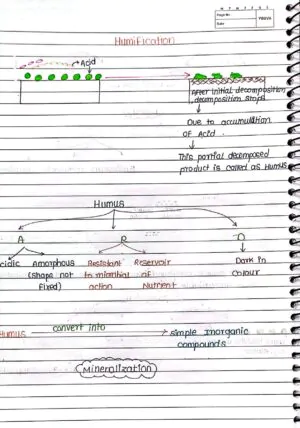 Ecosystem Handwritten Notes class 12 th neet biology