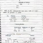 Molecular Basis of Inheritance Handwritten Notes PDF Download
