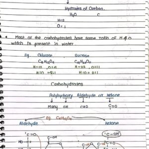 Molecular Basis of Inheritance Handwritten Notes PDF Download