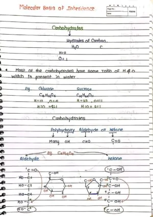 Molecular Basis of Inheritance Handwritten Notes PDF Download