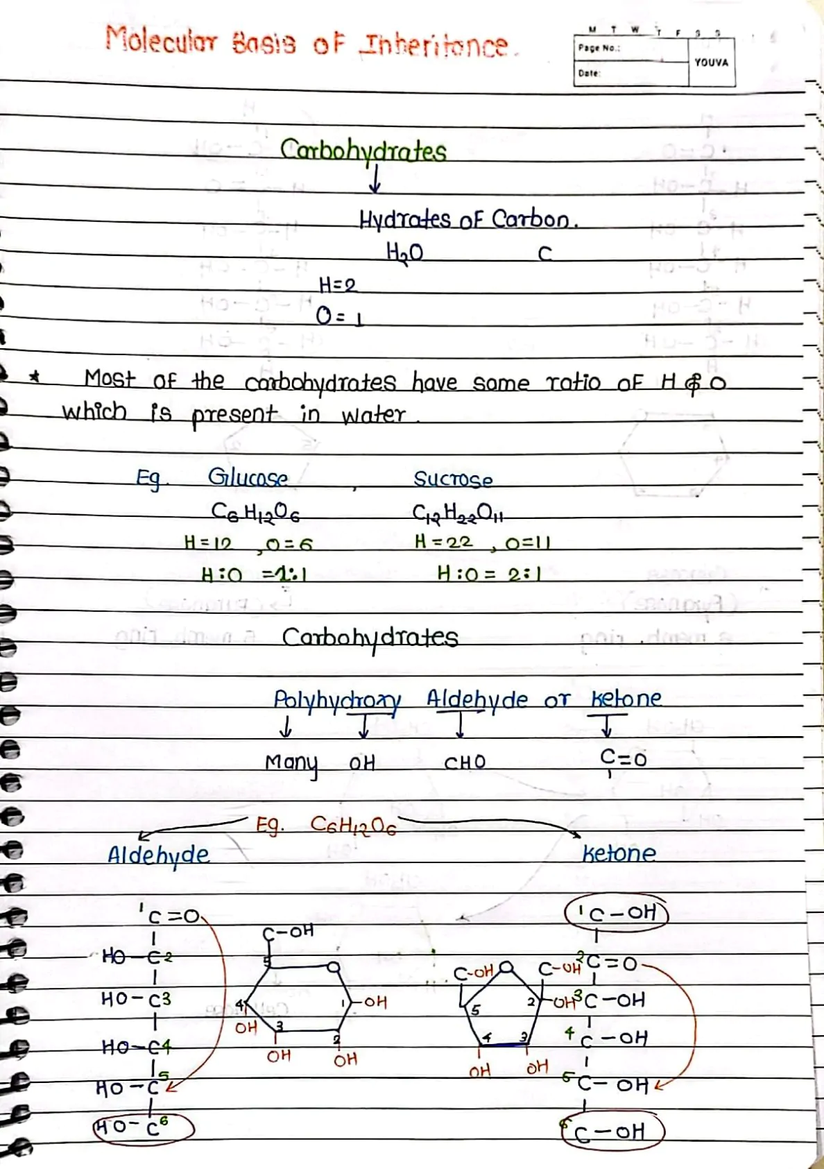 Molecular Basis of Inheritance Handwritten Notes PDF Download
