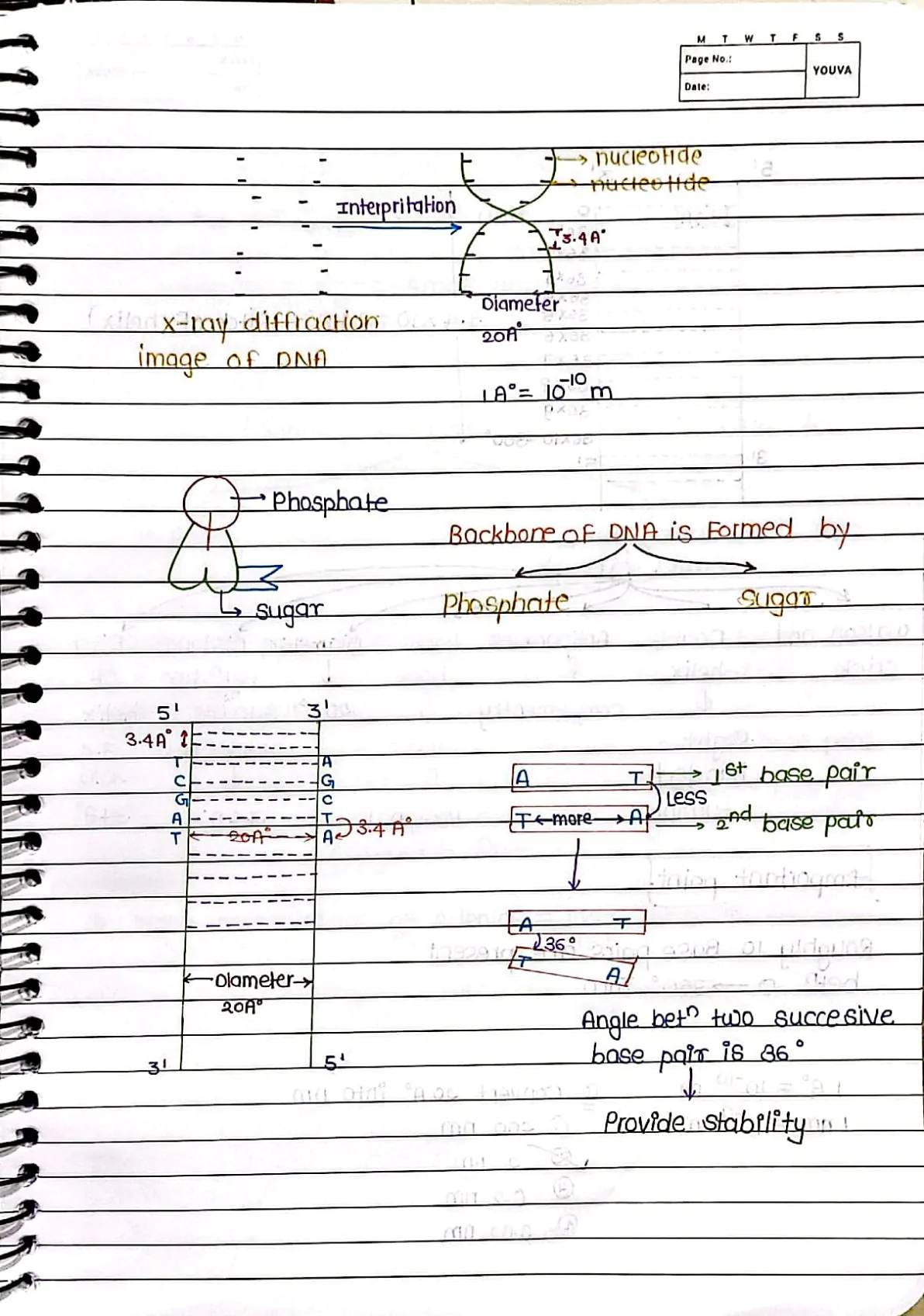 Molecular Basis of Inheritance Handwritten Notes PDF Download