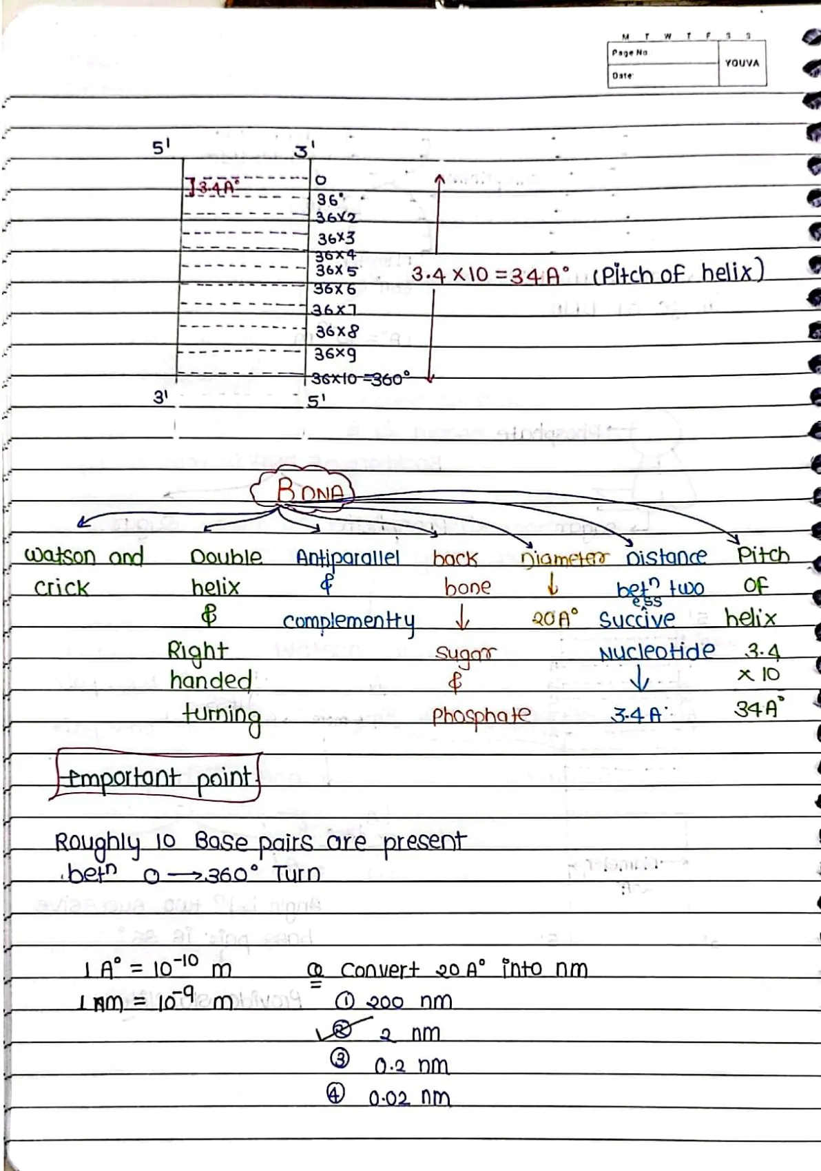 Molecular Basis of Inheritance Handwritten Notes PDF Download