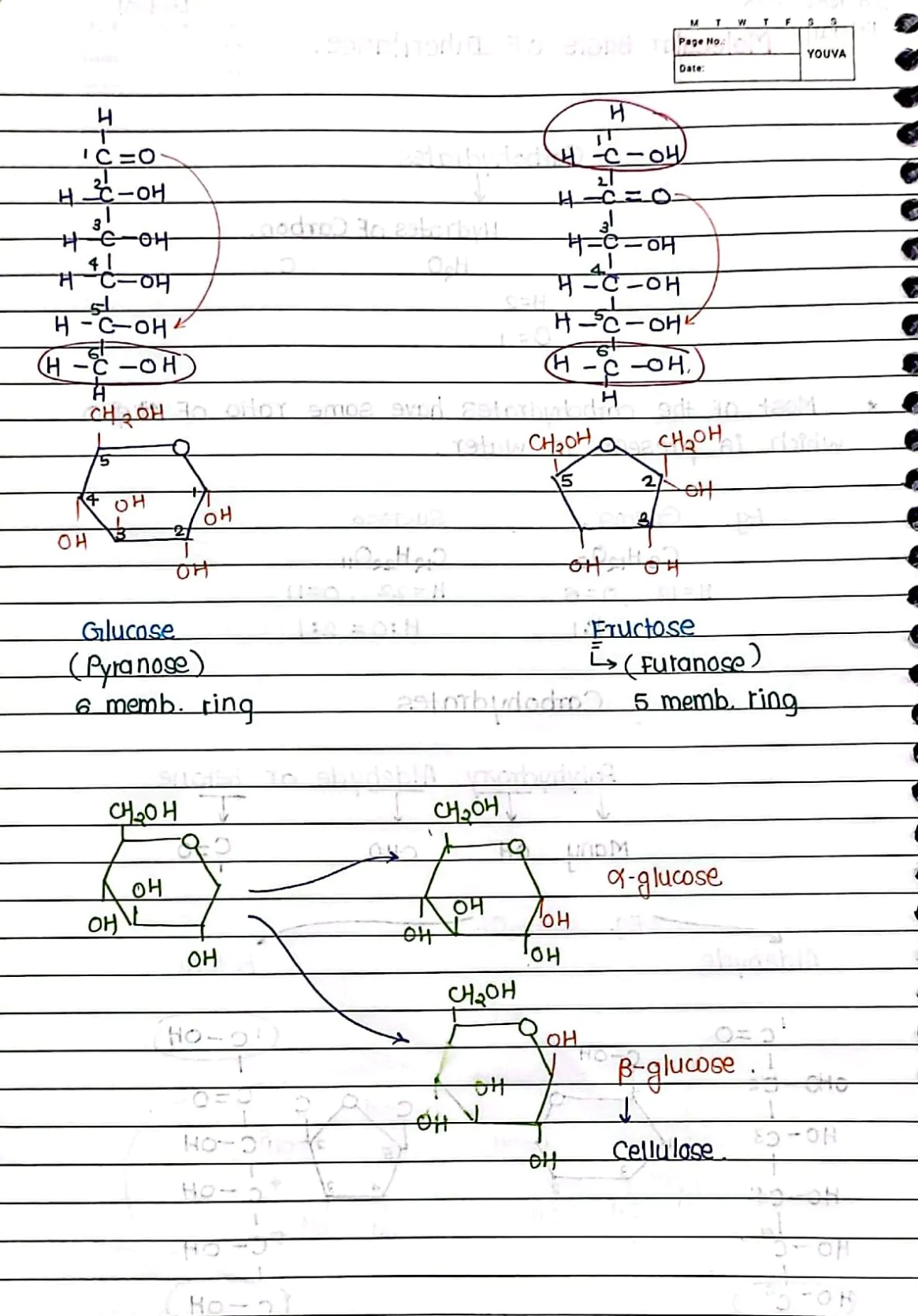 Molecular Basis of Inheritance Handwritten Notes PDF Download
