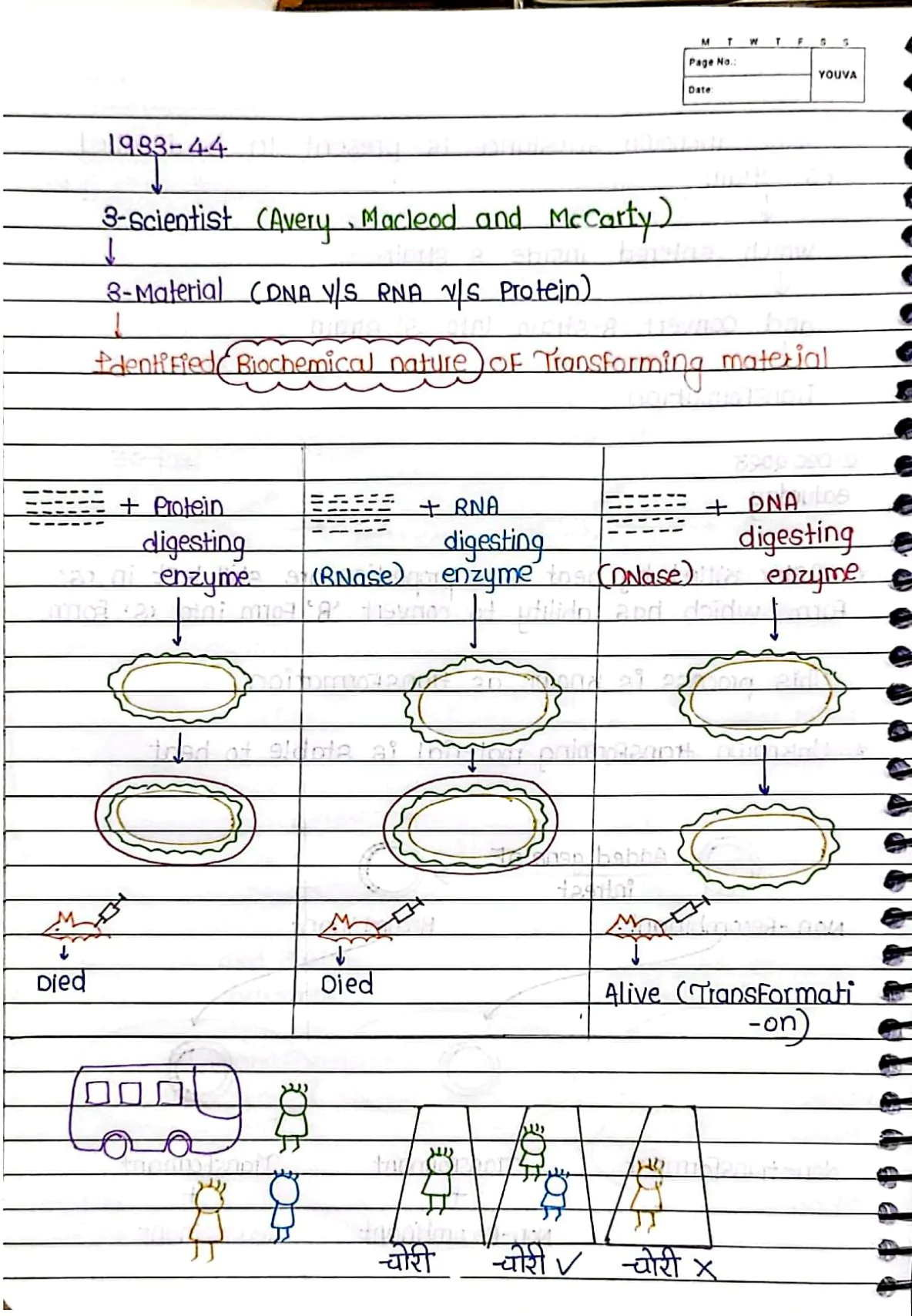 Molecular Basis of Inheritance Handwritten Notes PDF Download