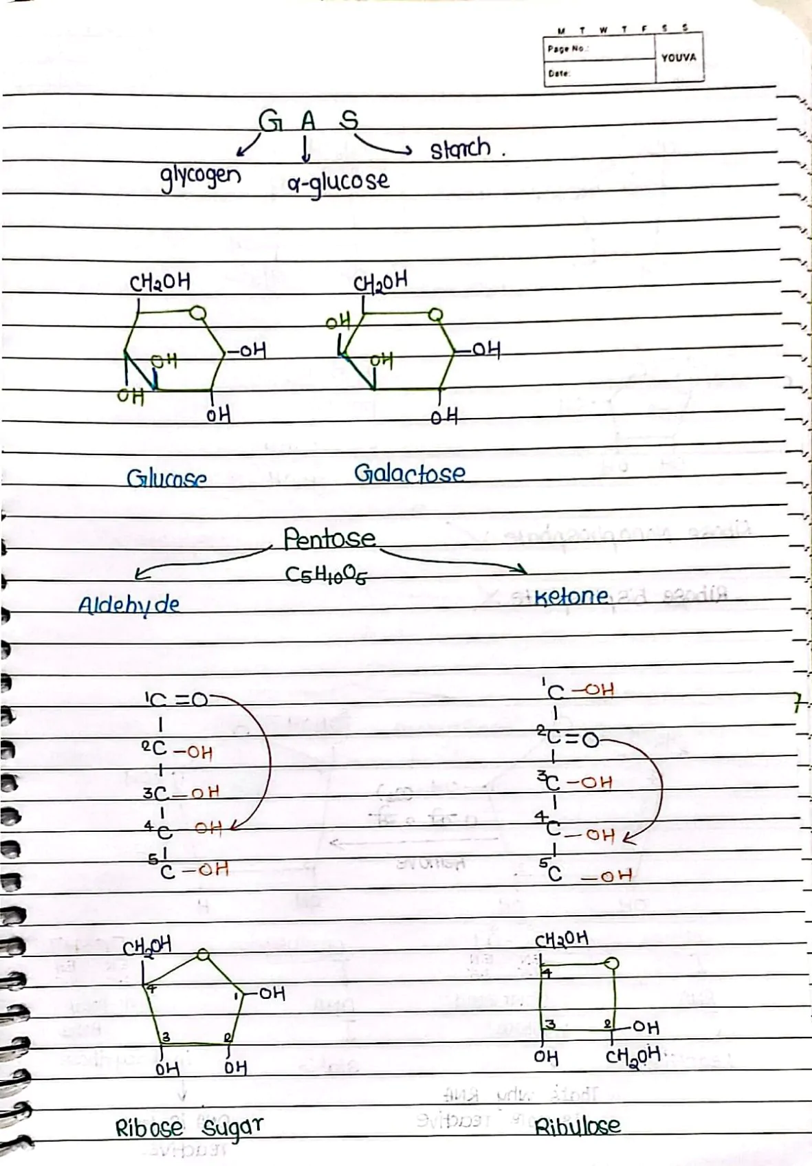 Molecular Basis of Inheritance Handwritten Notes PDF Download